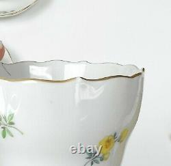 12 Meissen Germany Hand Painted Porcelain Demitasse Cups & Saucers Florals