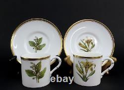 12 Royal Worcester Williamson Flower Botanical Demitasse Cups and Saucers