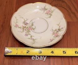 12 Theodore Haviland Rosalinde New York America France Demitasse Cups & Saucers