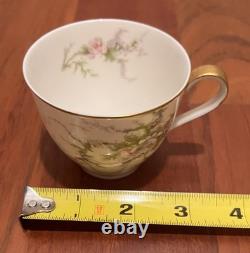 12 Theodore Haviland Rosalinde New York America France Demitasse Cups & Saucers