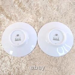 2 x HERMES Demitasse Coffee Cup & Saucer Les Matins De L'etang Porcelain withCase