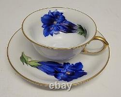 5 Vintage Demitasse Rosenthal Cups And Saucers Hand Painted Florals Excellent