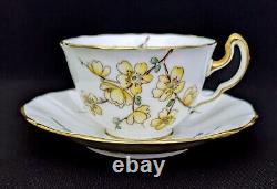 (6) Adderley Bone China CHINESE BLOSSOM Demitasse Cups & Saucers Yellow