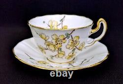 (6) Adderley Bone China CHINESE BLOSSOM Demitasse Cups & Saucers Yellow