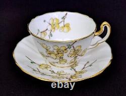 (6) Adderley Bone China CHINESE BLOSSOM Demitasse Cups & Saucers Yellow