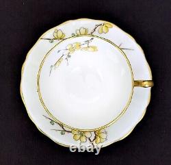 (6) Adderley Bone China CHINESE BLOSSOM Demitasse Cups & Saucers Yellow