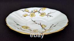 (6) Adderley Bone China CHINESE BLOSSOM Demitasse Cups & Saucers Yellow