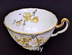 (6) Adderley Bone China CHINESE BLOSSOM Demitasse Cups & Saucers Yellow