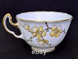 (6) Adderley Bone China CHINESE BLOSSOM Demitasse Cups & Saucers Yellow