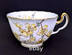 (6) Adderley Bone China CHINESE BLOSSOM Demitasse Cups & Saucers Yellow