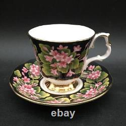 6 Royal Albert Provincial Flowers Demitasse Cup & Saucer Sets Cs347