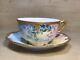 Antique A. K. Limoges Demitasse Cup & Saucer Forget-me-nots With Gold Trim