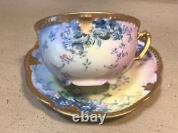 Antique A. K. Limoges Demitasse Cup & Saucer Forget-Me-Nots With Gold Trim