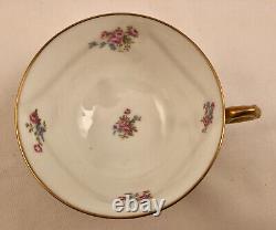 Antique D & C Limoges Demitasse Cup & Saucer, Footed