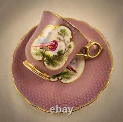 Antique Hammersley Demitasse Cup & Saucer, Exotic Birds