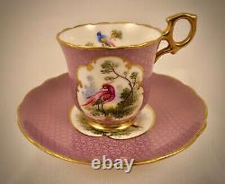 Antique Hammersley Demitasse Cup & Saucer, Exotic Birds