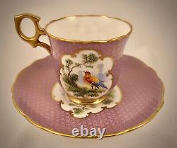 Antique Hammersley Demitasse Cup & Saucer, Exotic Birds