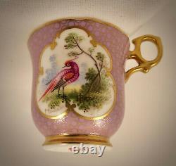 Antique Hammersley Demitasse Cup & Saucer, Exotic Birds