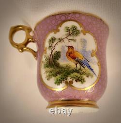 Antique Hammersley Demitasse Cup & Saucer, Exotic Birds