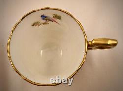 Antique Hammersley Demitasse Cup & Saucer, Exotic Birds