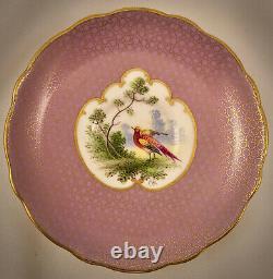 Antique Hammersley Demitasse Cup & Saucer, Exotic Birds