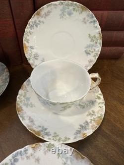Antique Haviland Limoges France Porcelain 5 Cups & 9 Saucers Floral Blue