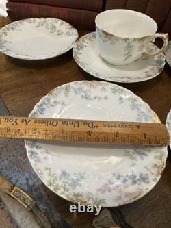 Antique Haviland Limoges France Porcelain 5 Cups & 9 Saucers Floral Blue