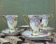 Antique Julius H. Brauer Hand-painted Pedestal Chocolate Cup & Saucer