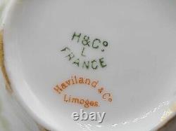Antique LIMOGES HAVILAND France Chocolate Coffee Pot, 3 Demitasse Cups 4 Saucers