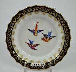 Antique Royal Worcester Demitasse Cup & Saucer, Birds