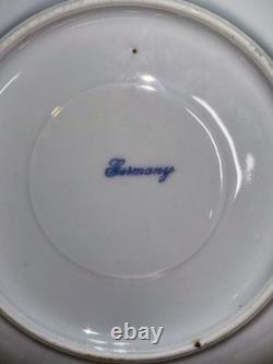 Antique Schumann Bavaria Germany Demitasse Cups & Saucers Parrots, Exotic Birds