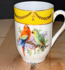 Antique Schumann Bavaria Germany Demitasse Cups & Saucers Parrots, Exotic Birds