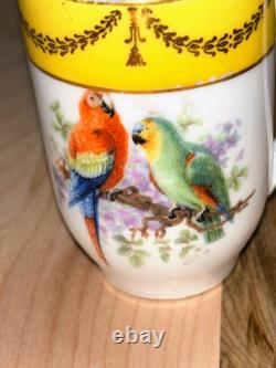 Antique Schumann Bavaria Germany Demitasse Cups & Saucers Parrots, Exotic Birds