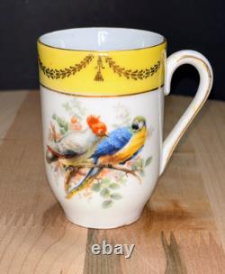 Antique Schumann Bavaria Germany Demitasse Cups & Saucers Parrots, Exotic Birds