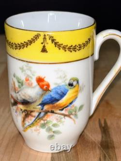 Antique Schumann Bavaria Germany Demitasse Cups & Saucers Parrots, Exotic Birds