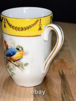 Antique Schumann Bavaria Germany Demitasse Cups & Saucers Parrots, Exotic Birds
