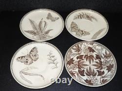 Antique Wedgwood Brown Transfer Aesthetic Botanical Demitasse Cups & Saucers