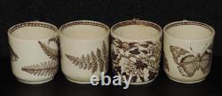 Antique Wedgwood Brown Transfer Aesthetic Botanical Demitasse Cups & Saucers