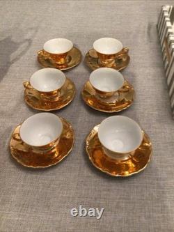 BAREUTHER /SCHLOTTENHOF Bavaria 17 Piece Small/Demitasse Tea Set Service READ