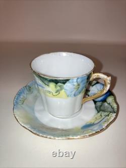 Bassett Limoges Austria Set Of 5 Hand-Painted Demitasse Cups & Saucers 1890-1920