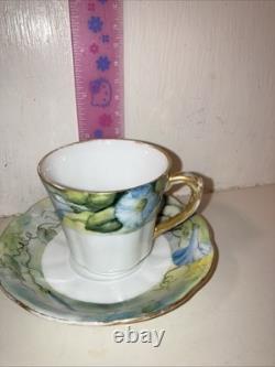 Bassett Limoges Austria Set Of 5 Hand-Painted Demitasse Cups & Saucers 1890-1920