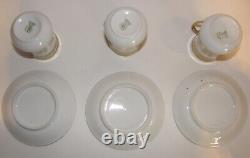 CS Prussia Carl Schlegelmilch Tea Pot, Platter & 6 demitasse cups/Saucers