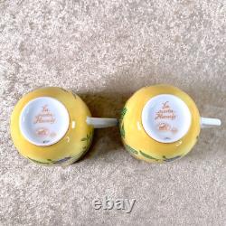 Hermes Paris Demitasse Cup & Saucer La Siesta Porcelain Tableware 2 Sets