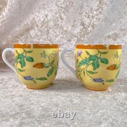Hermes Paris Demitasse Cup & Saucer La Siesta Porcelain Tableware 2 Sets withBox