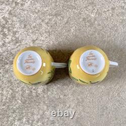 Hermes Paris Demitasse Cup & Saucer La Siesta Porcelain Tableware 2 Sets withBox