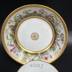 Limoges Ancienne Manufacture Royale Fleurs Des Champs Demitasse Cup & Saucer