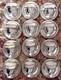 M F Hirsch Sterling Demitasse Cup/saucer/lenox Liners Set Of 12, No Mono, 341g