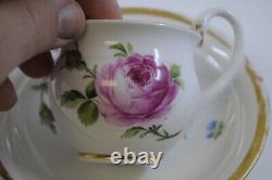 Meissen Rose Wild Flowers Wide Gold Trim Swan Handle Demitasse Cup Saucer