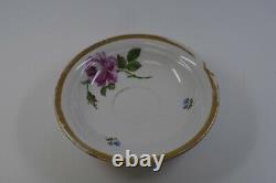 Meissen Rose Wild Flowers Wide Gold Trim Swan Handle Demitasse Cup Saucer