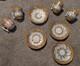 Miniature Demitasse Porcelain Cups Saucers Slight Design Difference Twig Handle